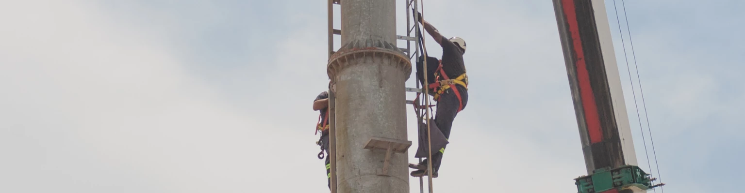 Proyecto ARRIOSTRADA